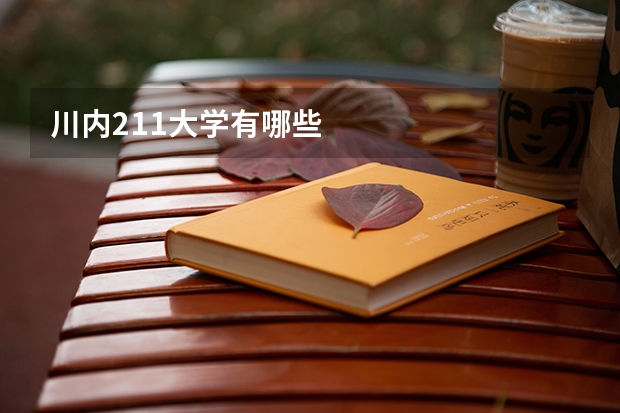 川内211大学有哪些
