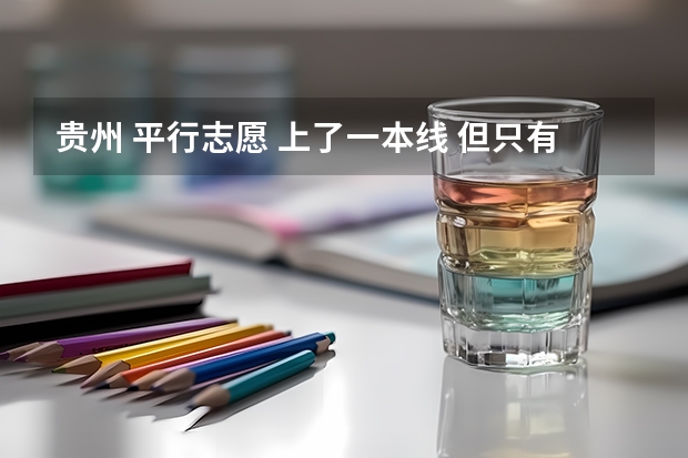 贵州 平行志愿 上了一本线 但只有一本实行平行志愿 我想报一两个二本学校 可以一本二本混报吗？