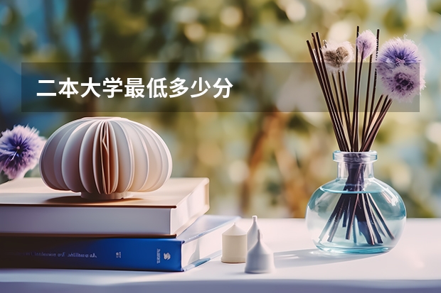 二本大学最低多少分
