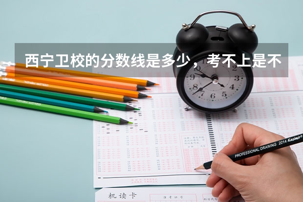 西宁卫校的分数线是多少，考不上是不是不要啊