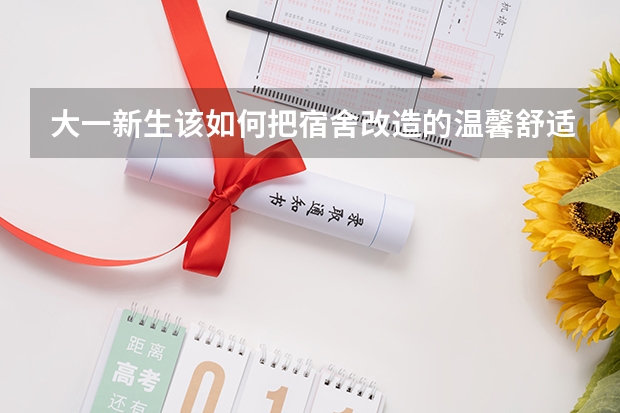 大一新生该如何把宿舍改造的温馨舒适一些，有哪些参考？