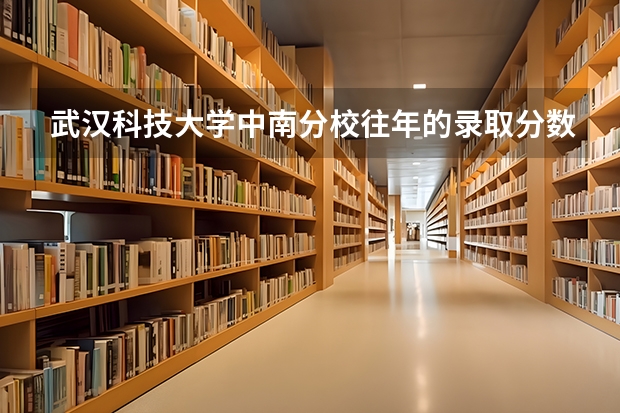 武汉科技大学中南分校往年的录取分数线是多少？