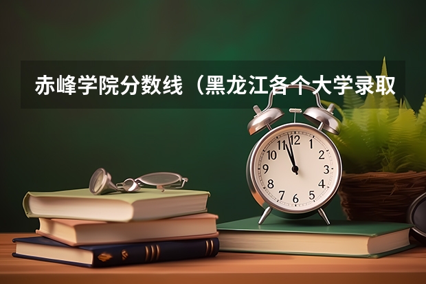 赤峰学院分数线（黑龙江各个大学录取分数线）