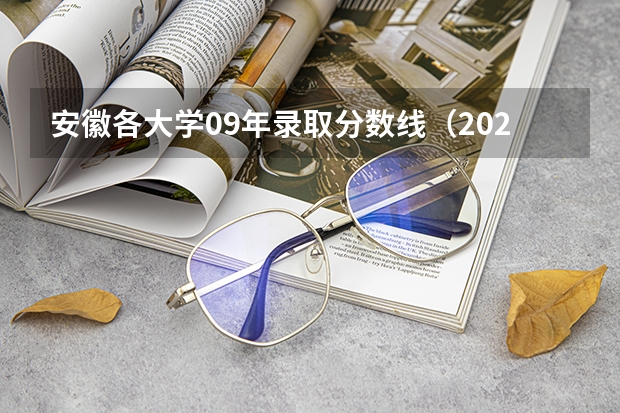 安徽各大学09年录取分数线（2023年大学文科录取线）