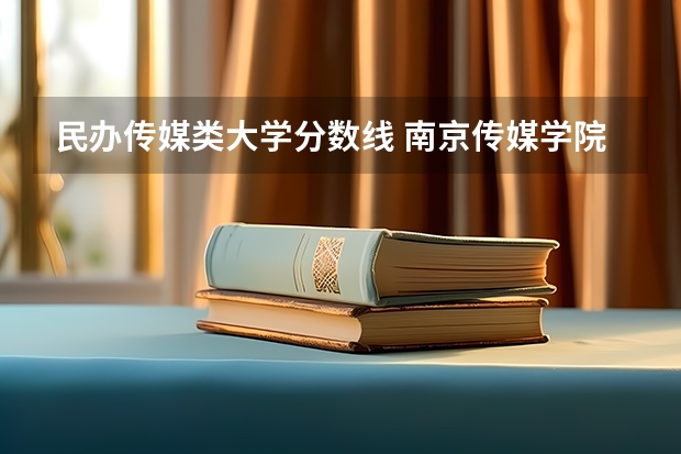 民办传媒类大学分数线 南京传媒学院录取分数线