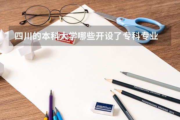 四川的本科大学哪些开设了专科专业