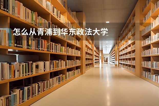 怎么从青浦到华东政法大学