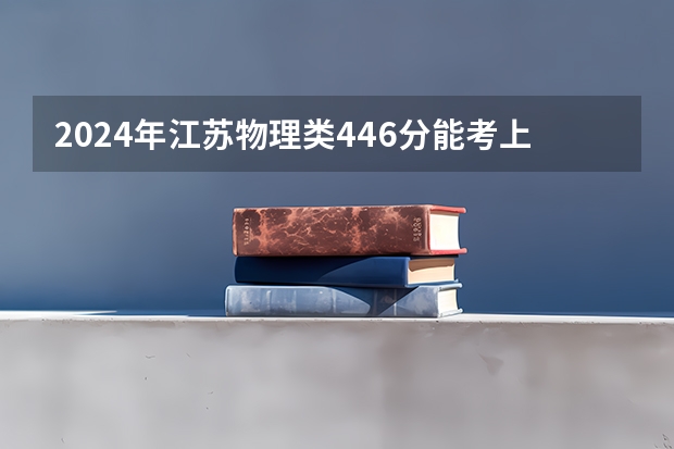 2024年江苏物理类446分能考上什么大学？