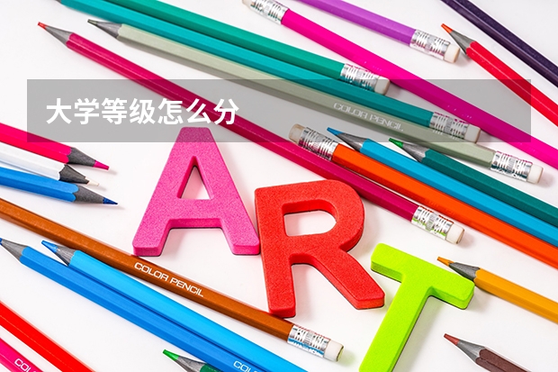 大学等级怎么分