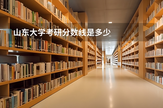 山东大学考研分数线是多少