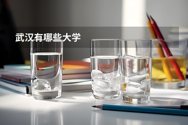 武汉有哪些大学
