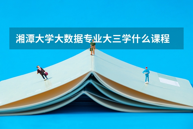 湘潭大学大数据专业大三学什么课程