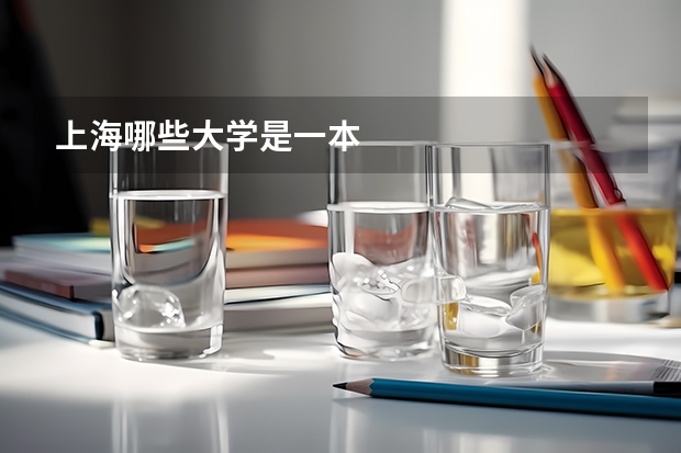 上海哪些大学是一本