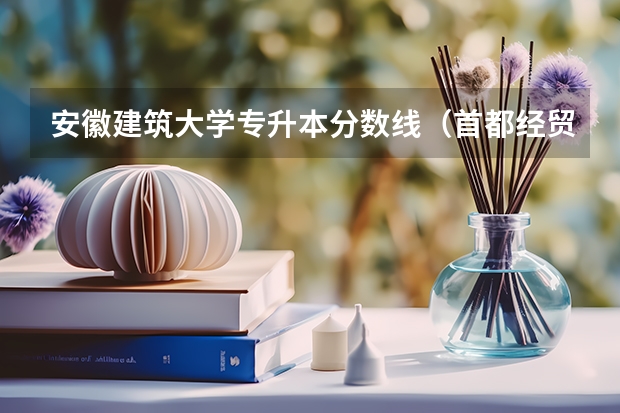 安徽建筑大学专升本分数线（首都经贸大学在安徽招生分数线拜托各位大神）