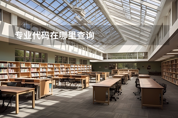 专业代码在哪里查询
