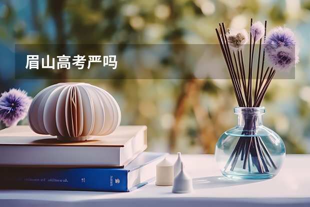 眉山高考严吗