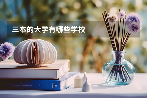 三本的大学有哪些学校
