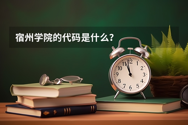宿州学院的代码是什么？