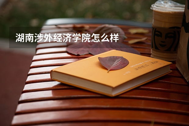 湖南涉外经济学院怎么样
