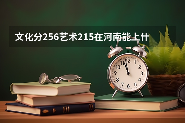 文化分256艺术215在河南能上什么大专?