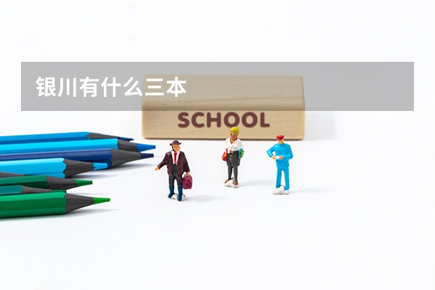 银川有什么三本