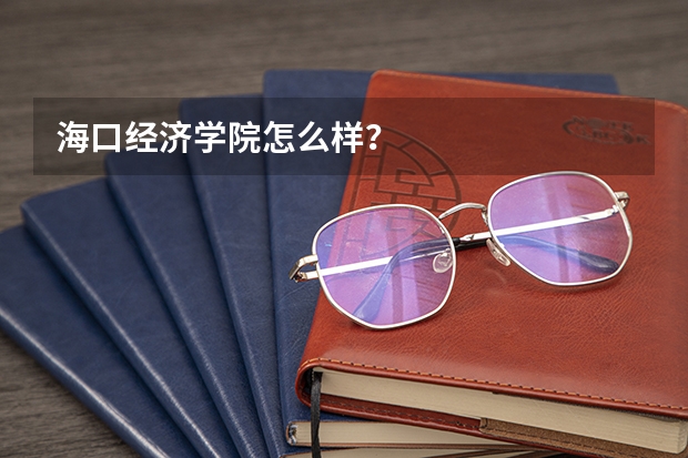 海口经济学院怎么样？