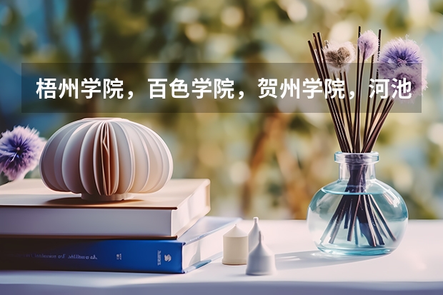 梧州学院，百色学院，贺州学院，河池学院哪个好