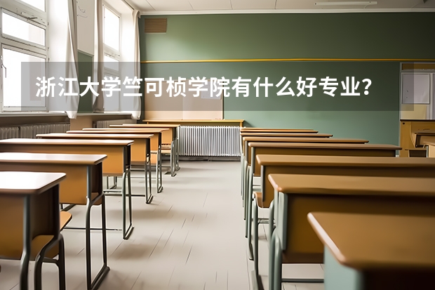 浙江大学竺可桢学院有什么好专业？