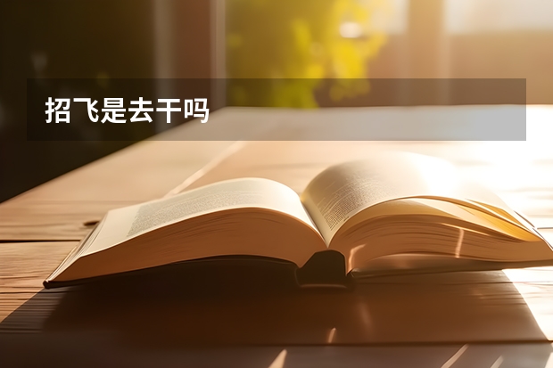 招飞是去干吗