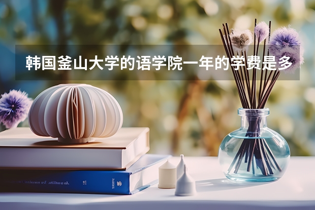 韩国釜山大学的语学院一年的学费是多少？有宿舍么？一年的生活费和住宿费是多少？