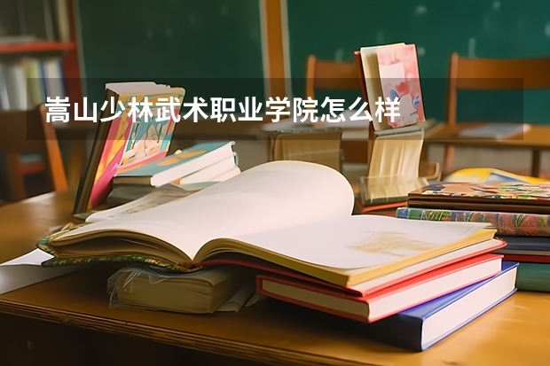 嵩山少林武术职业学院怎么样