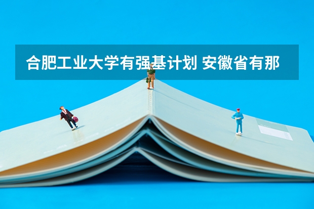 合肥工业大学有强基计划 安徽省有那些一本大学