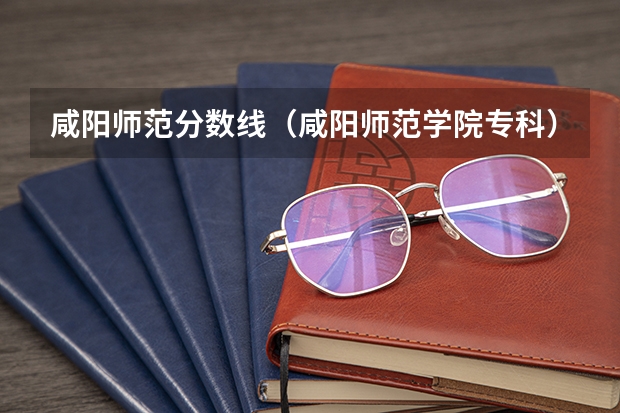 咸阳师范分数线（咸阳师范学院专科）